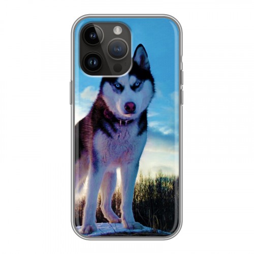 Дизайнерский силиконовый с усиленными углами чехол для Iphone 14 Pro Max Собаки