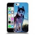 Дизайнерский пластиковый чехол для Iphone 5c Собаки