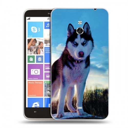 Дизайнерский пластиковый чехол для Nokia Lumia 1320 Собаки