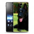 Дизайнерский пластиковый чехол для Sony Xperia TX Собаки