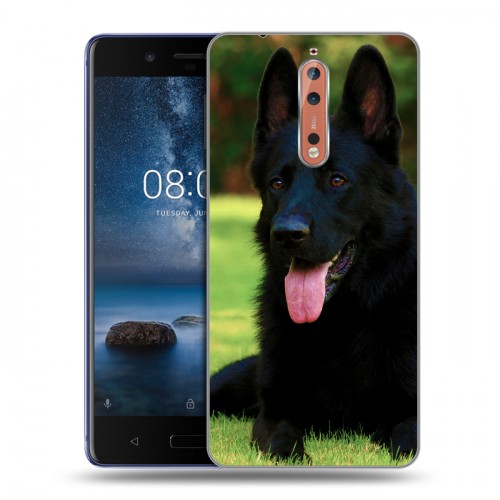 Дизайнерский пластиковый чехол для Nokia 8 Собаки