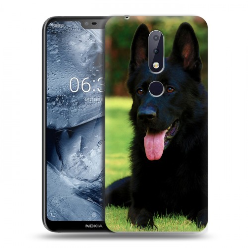 Дизайнерский пластиковый чехол для Nokia 6.1 Plus Собаки