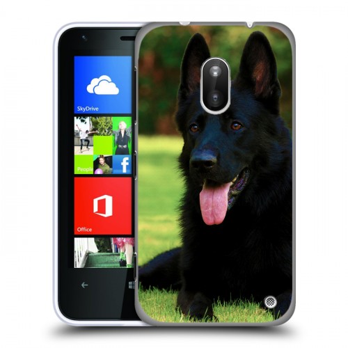 Дизайнерский пластиковый чехол для Nokia Lumia 620 Собаки