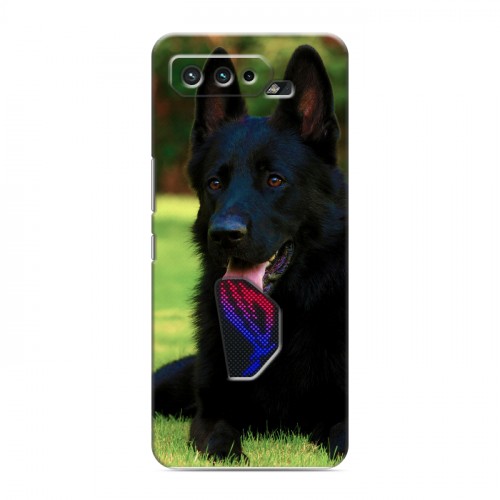 Дизайнерский силиконовый чехол для ASUS ROG Phone 5 Собаки