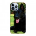 Дизайнерский пластиковый чехол для Iphone 13 Pro Max Собаки