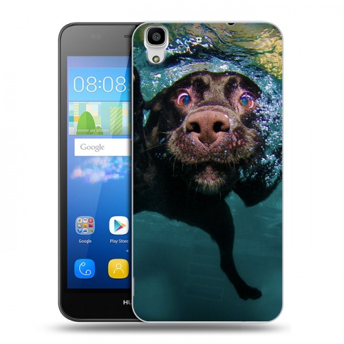 Дизайнерский пластиковый чехол для Huawei Y6 Собаки