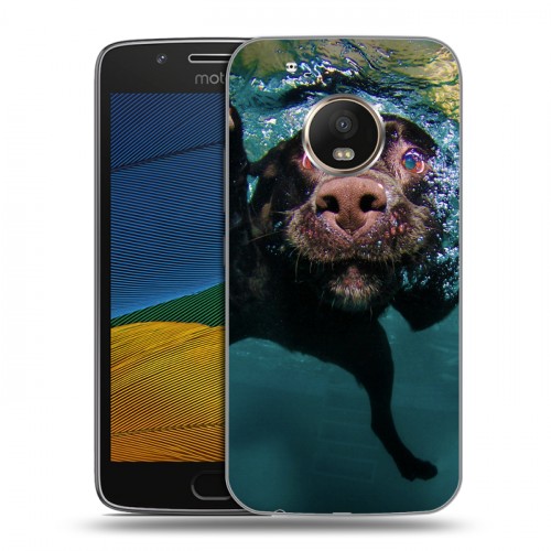 Дизайнерский силиконовый чехол для Lenovo Moto G5 Собаки