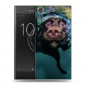 Дизайнерский пластиковый чехол для Sony Xperia XZs Собаки