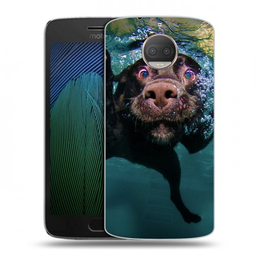 Дизайнерский пластиковый чехол для Motorola Moto G5s Plus Собаки