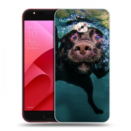Дизайнерский пластиковый чехол для ASUS ZenFone 4 Selfie Pro Собаки