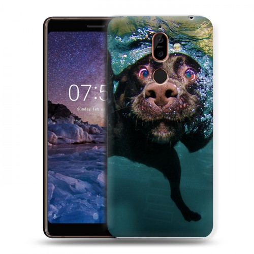 Дизайнерский пластиковый чехол для Nokia 7 Plus Собаки