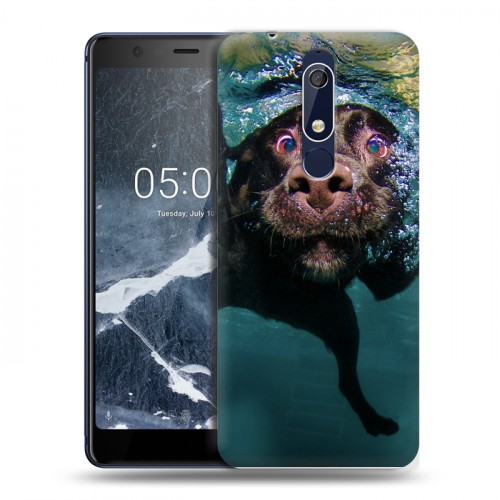 Дизайнерский пластиковый чехол для Nokia 5.1 Собаки