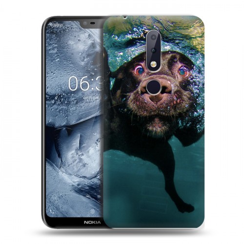 Дизайнерский пластиковый чехол для Nokia 6.1 Plus Собаки