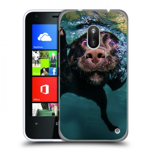 Дизайнерский пластиковый чехол для Nokia Lumia 620 Собаки