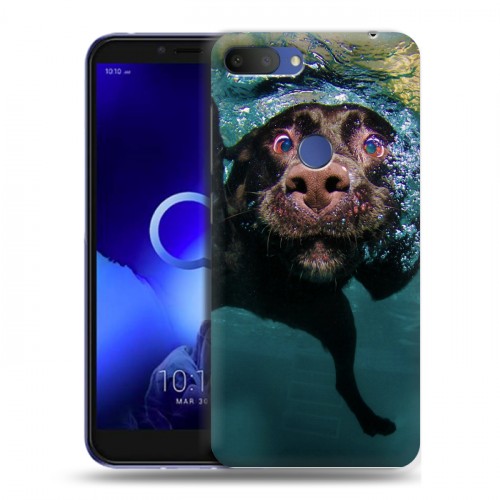 Дизайнерский пластиковый чехол для Alcatel 1S (2019) Собаки