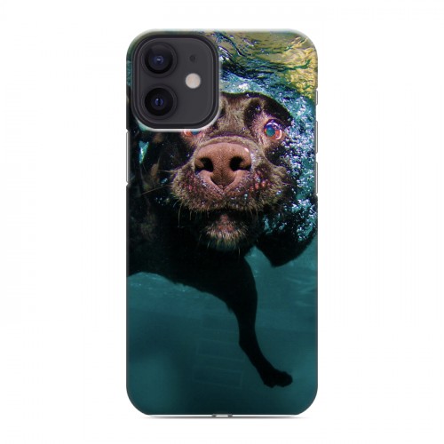Дизайнерский силиконовый с усиленными углами чехол для Iphone 12 Mini Собаки