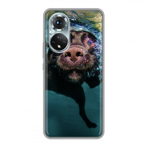 Дизайнерский пластиковый чехол для Huawei Honor 50 Собаки