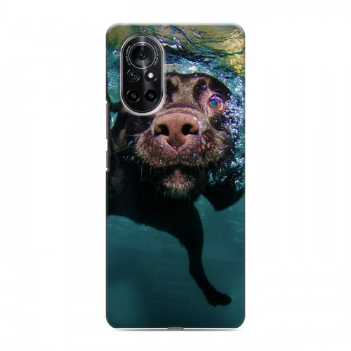 Дизайнерский силиконовый чехол для Huawei Nova 8 Собаки