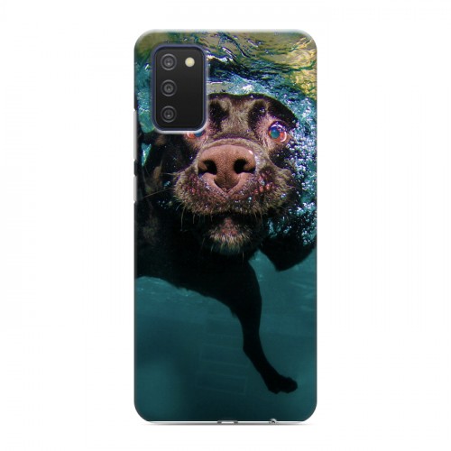 Дизайнерский силиконовый с усиленными углами чехол для Samsung Galaxy A03s Собаки