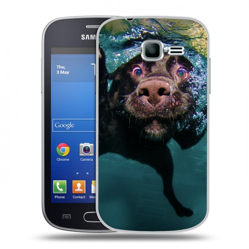 Дизайнерский пластиковый чехол для Samsung Galaxy Trend Lite Собаки