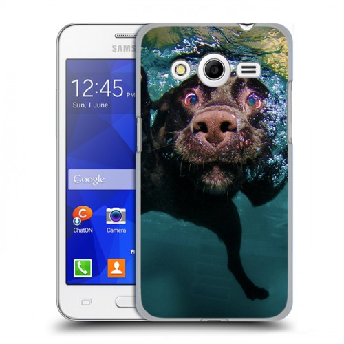 Дизайнерский пластиковый чехол для Samsung Galaxy Core 2 Собаки
