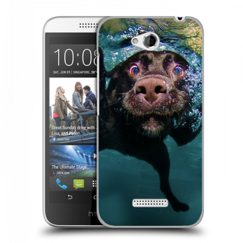 Дизайнерский пластиковый чехол для HTC Desire 616 Собаки