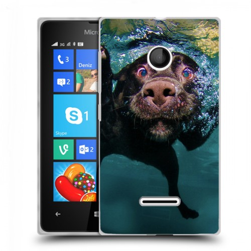 Дизайнерский пластиковый чехол для Microsoft Lumia 435 Собаки