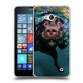 Дизайнерский пластиковый чехол для Microsoft Lumia 640 Собаки