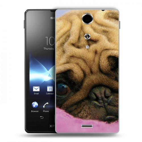 Дизайнерский пластиковый чехол для Sony Xperia TX Собаки