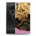 Дизайнерский пластиковый чехол для Sony Xperia XZs Собаки