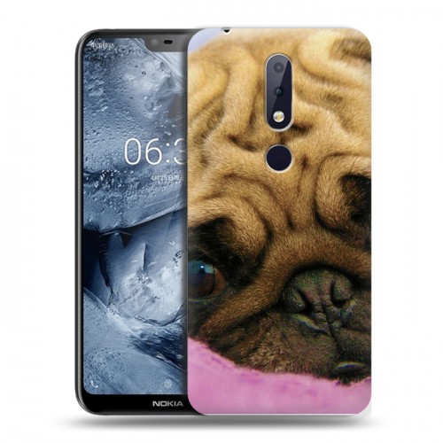 Дизайнерский пластиковый чехол для Nokia 6.1 Plus Собаки