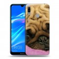 Дизайнерский пластиковый чехол для Huawei Y6 (2019) Собаки