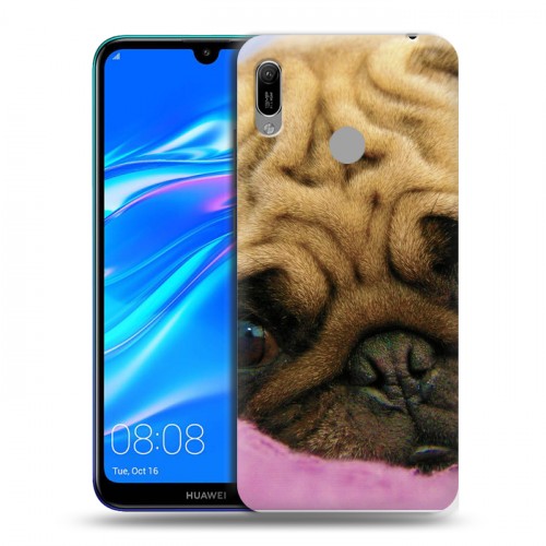 Дизайнерский пластиковый чехол для Huawei Y6 (2019) Собаки
