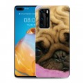 Дизайнерский пластиковый чехол для Huawei P40 Собаки