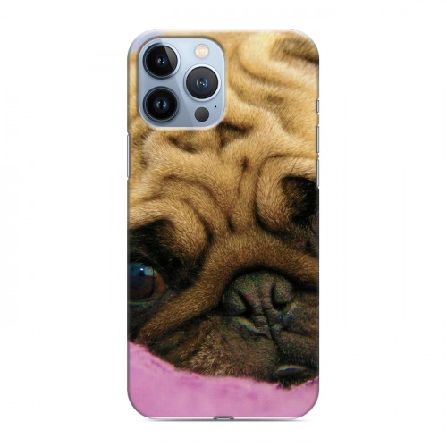Дизайнерский силиконовый чехол для Iphone 13 Pro Max Собаки