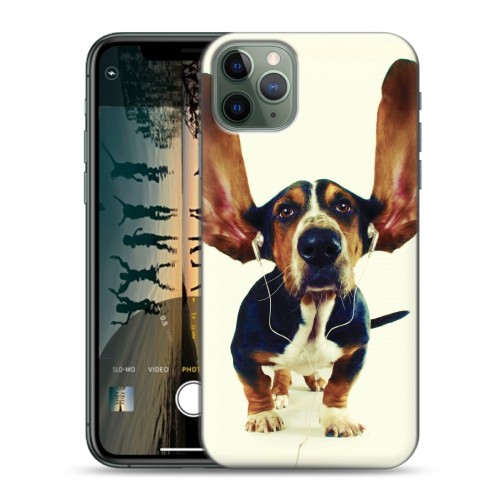 Дизайнерский пластиковый чехол для Iphone 11 Pro Max Собаки
