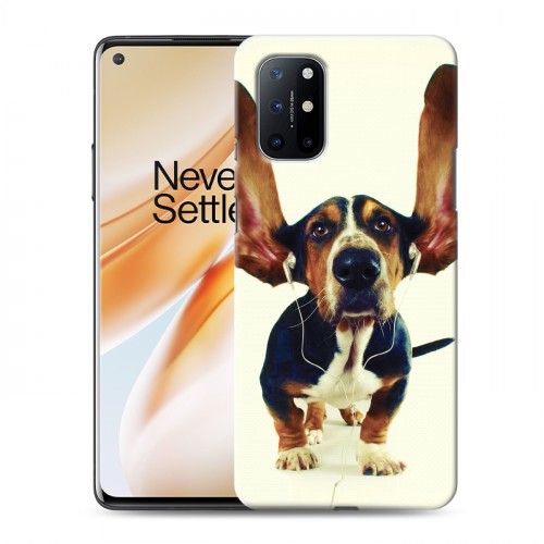 Дизайнерский пластиковый чехол для OnePlus 8T Собаки