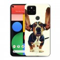 Дизайнерский пластиковый чехол для Google Pixel 5 Собаки