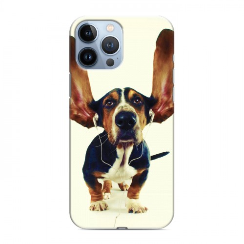 Дизайнерский пластиковый чехол для Iphone 13 Pro Max Собаки