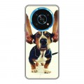 Дизайнерский силиконовый чехол для Huawei Honor Magic 4 Lite 5G Собаки