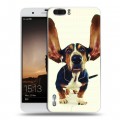 Дизайнерский пластиковый чехол для Huawei Honor 6 Plus Собаки