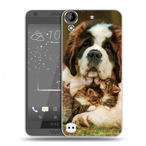 Дизайнерский пластиковый чехол для HTC Desire 530 Собаки