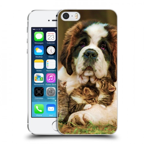 Дизайнерский пластиковый чехол для Iphone 5s Собаки