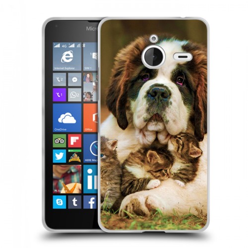 Дизайнерский пластиковый чехол для Microsoft Lumia 640 XL Собаки