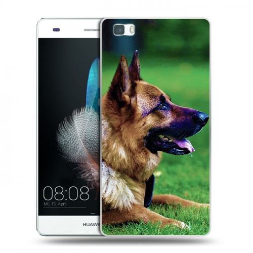 Дизайнерский пластиковый чехол для Huawei P8 Lite Собаки