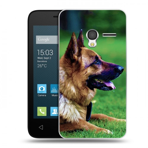 Дизайнерский пластиковый чехол для Alcatel One Touch Pixi 3 (4.0) Собаки