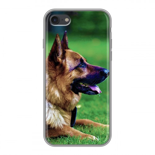 Дизайнерский силиконовый чехол для Iphone 7 Собаки