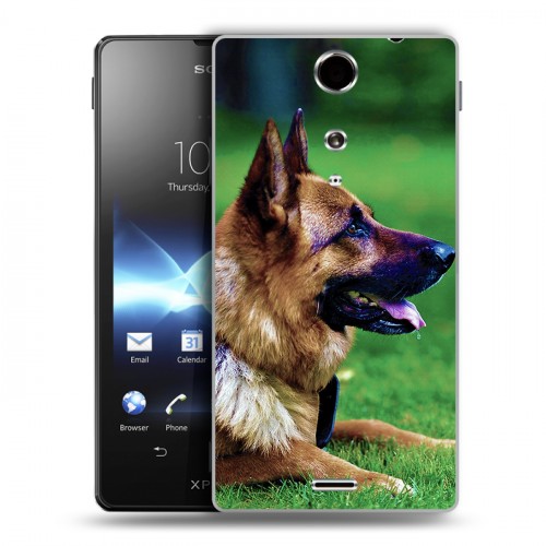 Дизайнерский пластиковый чехол для Sony Xperia TX Собаки