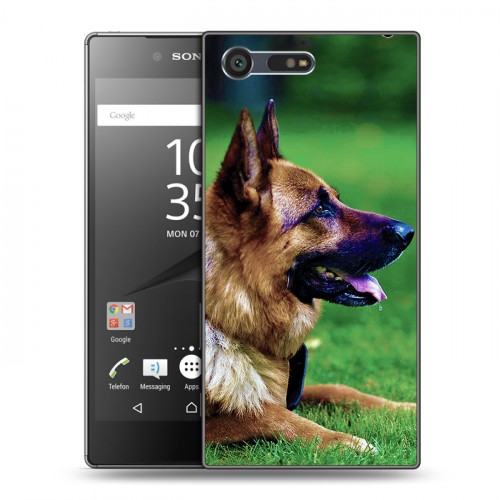 Дизайнерский пластиковый чехол для Sony Xperia X Compact Собаки