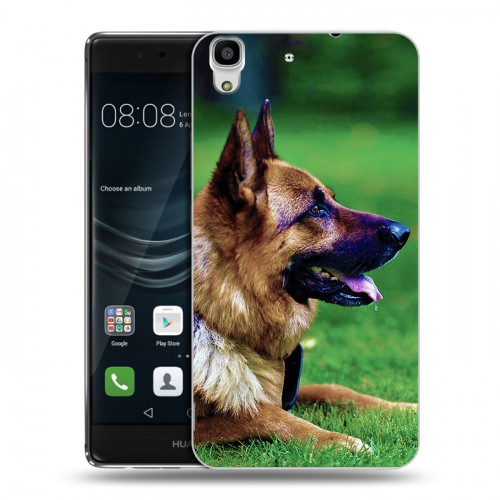 Дизайнерский пластиковый чехол для Huawei Y6II Собаки